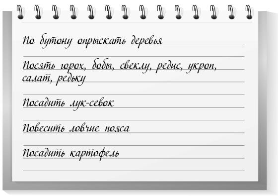Иллюстрация к книге — Самая полная книга разумно ленивого дачника. Секреты легкого урожая [i_038.jpg]
