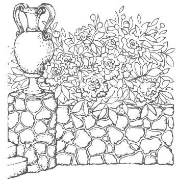 Иллюстрация к книге — Самая полная книга разумно ленивого дачника. Секреты легкого урожая [i_064.jpg]