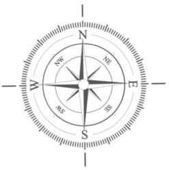 Иллюстрация к книге — Самая полная книга разумно ленивого дачника. Секреты легкого урожая [i_065.jpg]