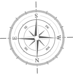 Иллюстрация к книге — Самая полная книга разумно ленивого дачника. Секреты легкого урожая [i_067.jpg]