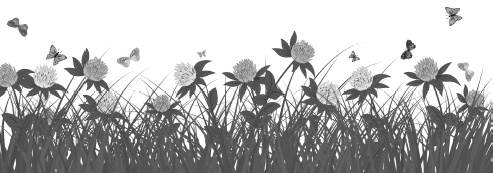 Иллюстрация к книге — Самая полная книга разумно ленивого дачника. Секреты легкого урожая [i_074.jpg]