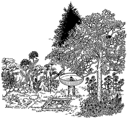 Иллюстрация к книге — Самая полная книга разумно ленивого дачника. Секреты легкого урожая [i_076.jpg]