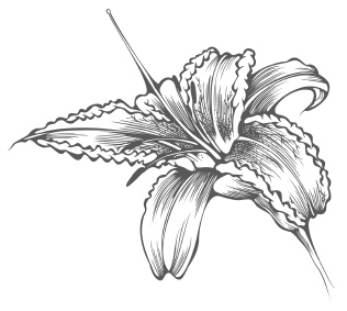 Иллюстрация к книге — Самая полная книга разумно ленивого дачника. Секреты легкого урожая [i_082.jpg]