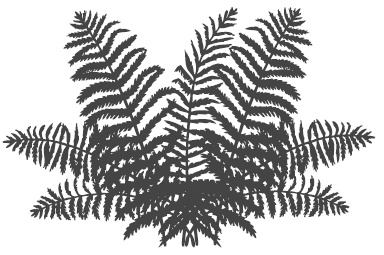 Иллюстрация к книге — Самая полная книга разумно ленивого дачника. Секреты легкого урожая [i_083.jpg]