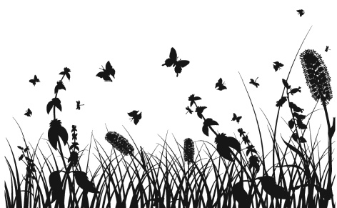 Иллюстрация к книге — Самая полная книга разумно ленивого дачника. Секреты легкого урожая [i_084.jpg]