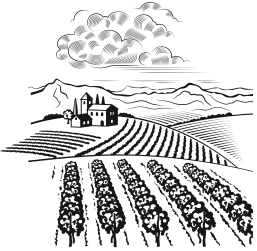 Иллюстрация к книге — Самая полная книга разумно ленивого дачника. Секреты легкого урожая [i_092.jpg]