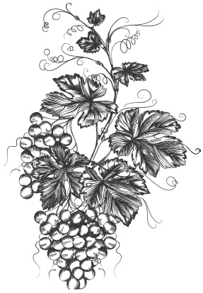 Иллюстрация к книге — Самая полная книга разумно ленивого дачника. Секреты легкого урожая [i_094.jpg]