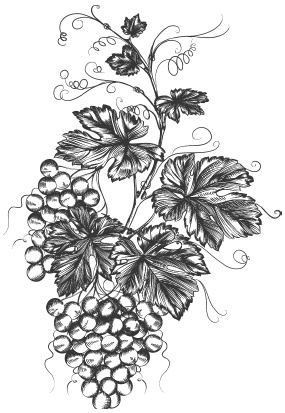 Иллюстрация к книге — Самая полная книга разумно ленивого дачника. Секреты легкого урожая [i_098.jpg]