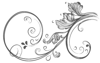 Иллюстрация к книге — Самая полная книга разумно ленивого дачника. Секреты легкого урожая [i_103.jpg]