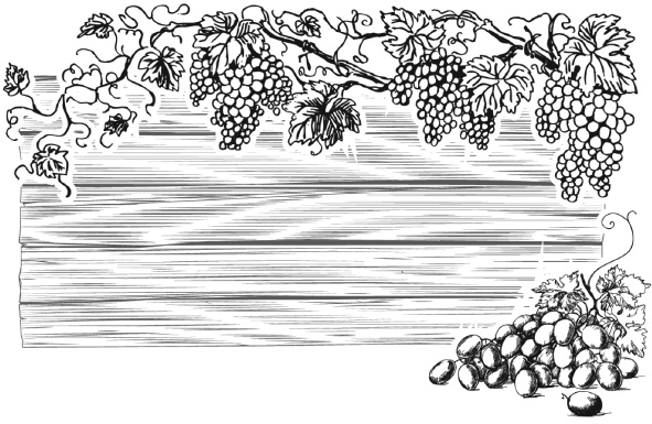 Иллюстрация к книге — Самая полная книга разумно ленивого дачника. Секреты легкого урожая [i_147.jpg]