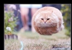 Иллюстрация к книге — Космоглупости [_3.jpg]