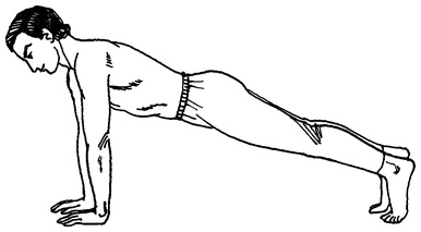 Иллюстрация к книге — Живая пища. Сыроедение: энергетика, психология [i_003.jpg]