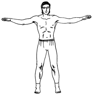 Иллюстрация к книге — Живая пища. Сыроедение: энергетика, психология [i_006.jpg]