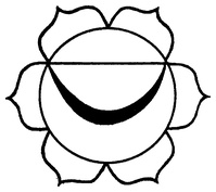 Иллюстрация к книге — Живая пища. Сыроедение: энергетика, психология [i_011.jpg]