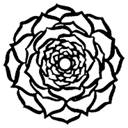 Иллюстрация к книге — Живая пища. Сыроедение: энергетика, психология [i_016.jpg]