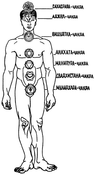 Иллюстрация к книге — Живая пища. Сыроедение: энергетика, психология [i_017.jpg]