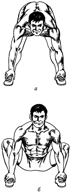 Иллюстрация к книге — Живая пища. Сыроедение: энергетика, психология [i_031.jpg]