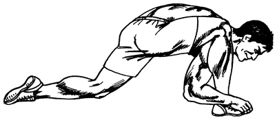 Иллюстрация к книге — Живая пища. Сыроедение: энергетика, психология [i_036.jpg]