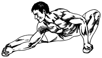 Иллюстрация к книге — Живая пища. Сыроедение: энергетика, психология [i_038.jpg]