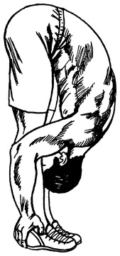 Иллюстрация к книге — Живая пища. Сыроедение: энергетика, психология [i_039.jpg]