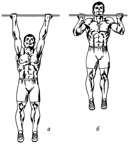 Иллюстрация к книге — Живая пища. Сыроедение: энергетика, психология [i_044.jpg]