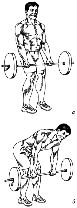 Иллюстрация к книге — Живая пища. Сыроедение: энергетика, психология [i_051.jpg]