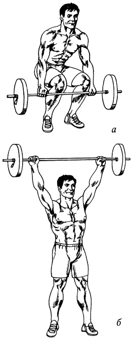 Иллюстрация к книге — Живая пища. Сыроедение: энергетика, психология [i_053.jpg]