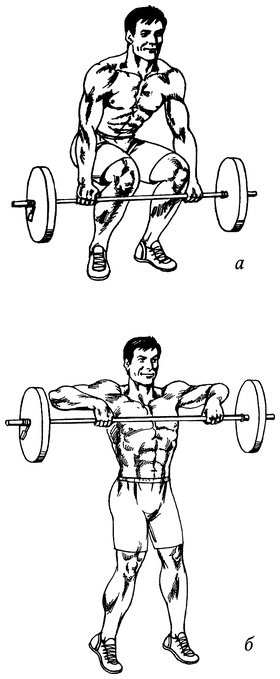 Иллюстрация к книге — Живая пища. Сыроедение: энергетика, психология [i_054.jpg]