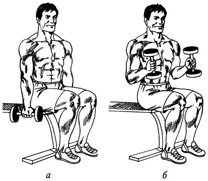 Иллюстрация к книге — Живая пища. Сыроедение: энергетика, психология [i_059.jpg]