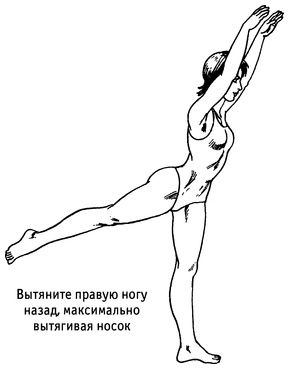 Иллюстрация к книге — Живая пища. Сыроедение: энергетика, психология [i_087.jpg]