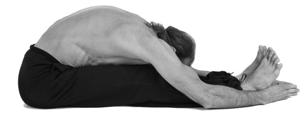 Иллюстрация к книге — Живая пища. Сыроедение: энергетика, психология [i_099.jpg]