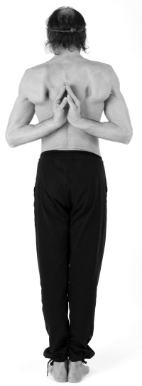 Иллюстрация к книге — Живая пища. Сыроедение: энергетика, психология [i_111.jpg]