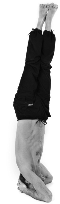 Иллюстрация к книге — Живая пища. Сыроедение: энергетика, психология [i_126.jpg]