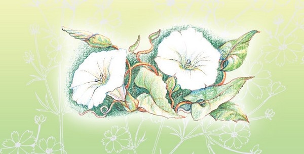 Иллюстрация к книге — Тайна гранатовых зерен [i_008.jpg]