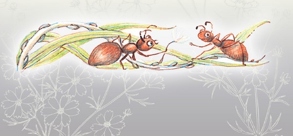 Иллюстрация к книге — Тайна гранатовых зерен [i_012.jpg]