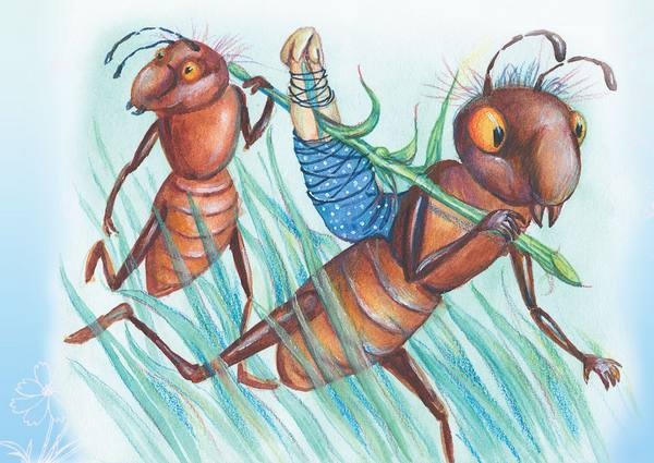 Иллюстрация к книге — Тайна гранатовых зерен [i_018.jpg]