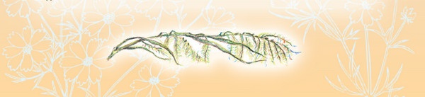 Иллюстрация к книге — Тайна гранатовых зерен [i_049.jpg]