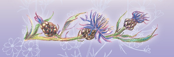 Иллюстрация к книге — Тайна гранатовых зерен [i_057.jpg]