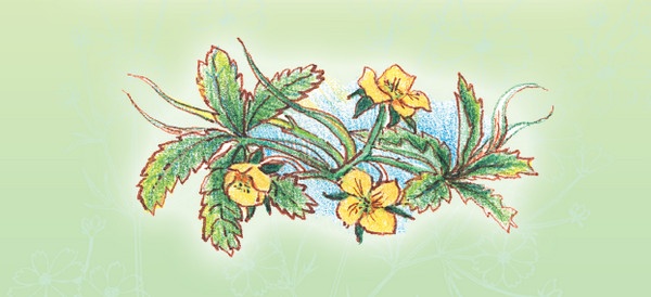 Иллюстрация к книге — Тайна гранатовых зерен [i_063.jpg]