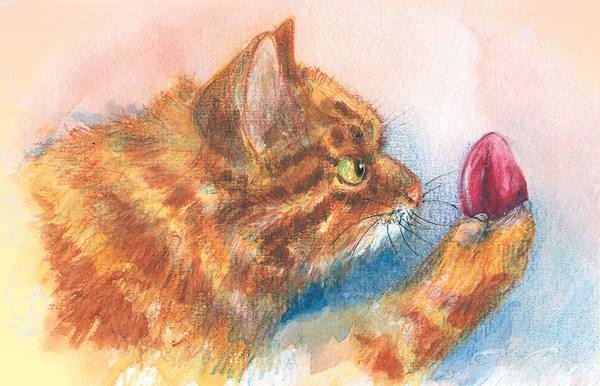 Иллюстрация к книге — Тайна гранатовых зерен [i_066.jpg]