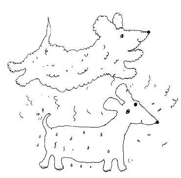 Иллюстрация к книге — Амвросий, Муркис и Ангел [i_039.jpg]