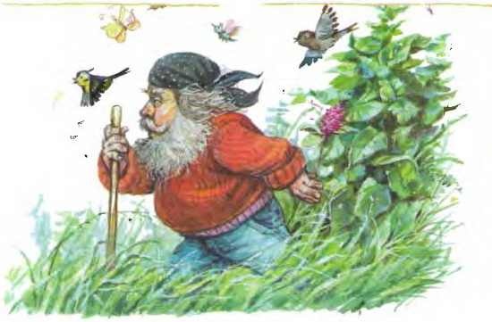 Иллюстрация к книге — Изюмка и гном [i_007.jpg]