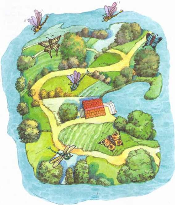 Иллюстрация к книге — Изюмка и гном [i_030.jpg]