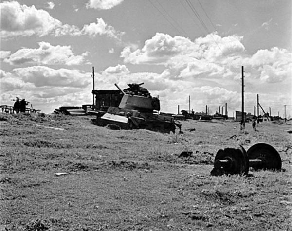 Иллюстрация к книге — Русский дневник [i_041.jpg]