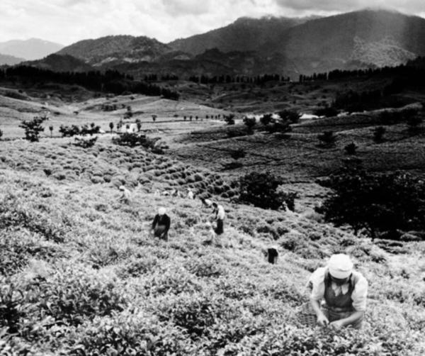 Иллюстрация к книге — Русский дневник [i_056.jpg]