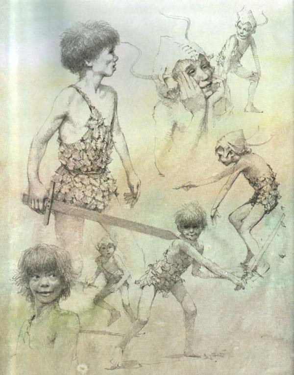 Иллюстрация к книге — Питер Пэн и Венди [i_001.jpg]