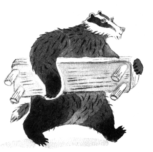 Иллюстрация к книге — Барсук с нашего двора [i_005.jpg]