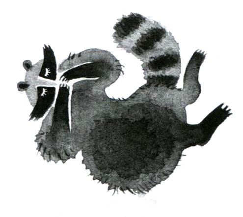 Иллюстрация к книге — Барсук с нашего двора [i_007.jpg]