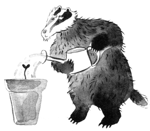 Иллюстрация к книге — Барсук с нашего двора [i_012.jpg]