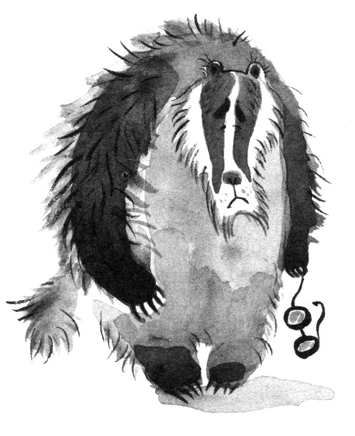 Иллюстрация к книге — Барсук с нашего двора [i_018.jpg]